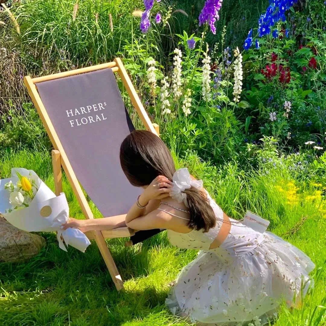 排球少年:VS不及格